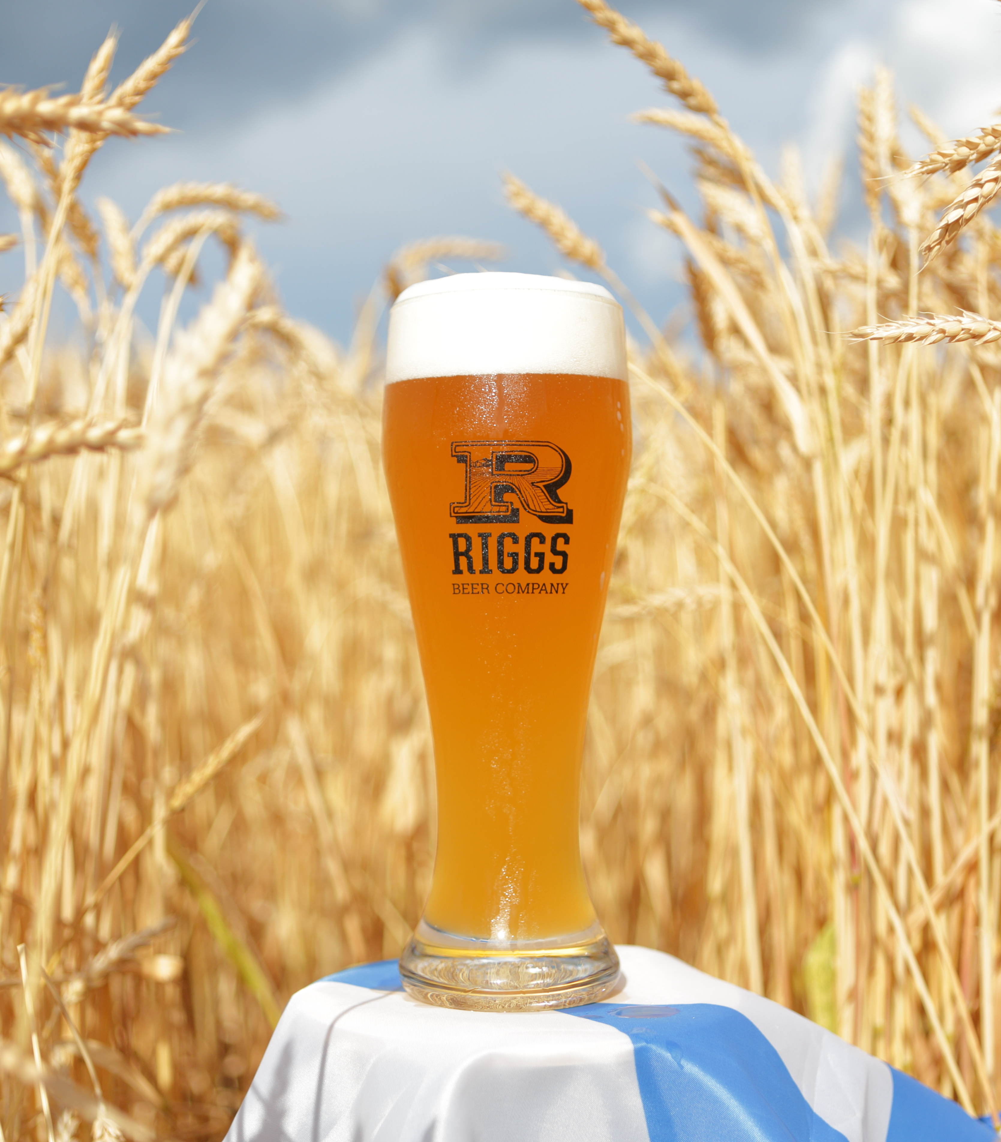 Riggs Beer Company beer glass in a cornfield