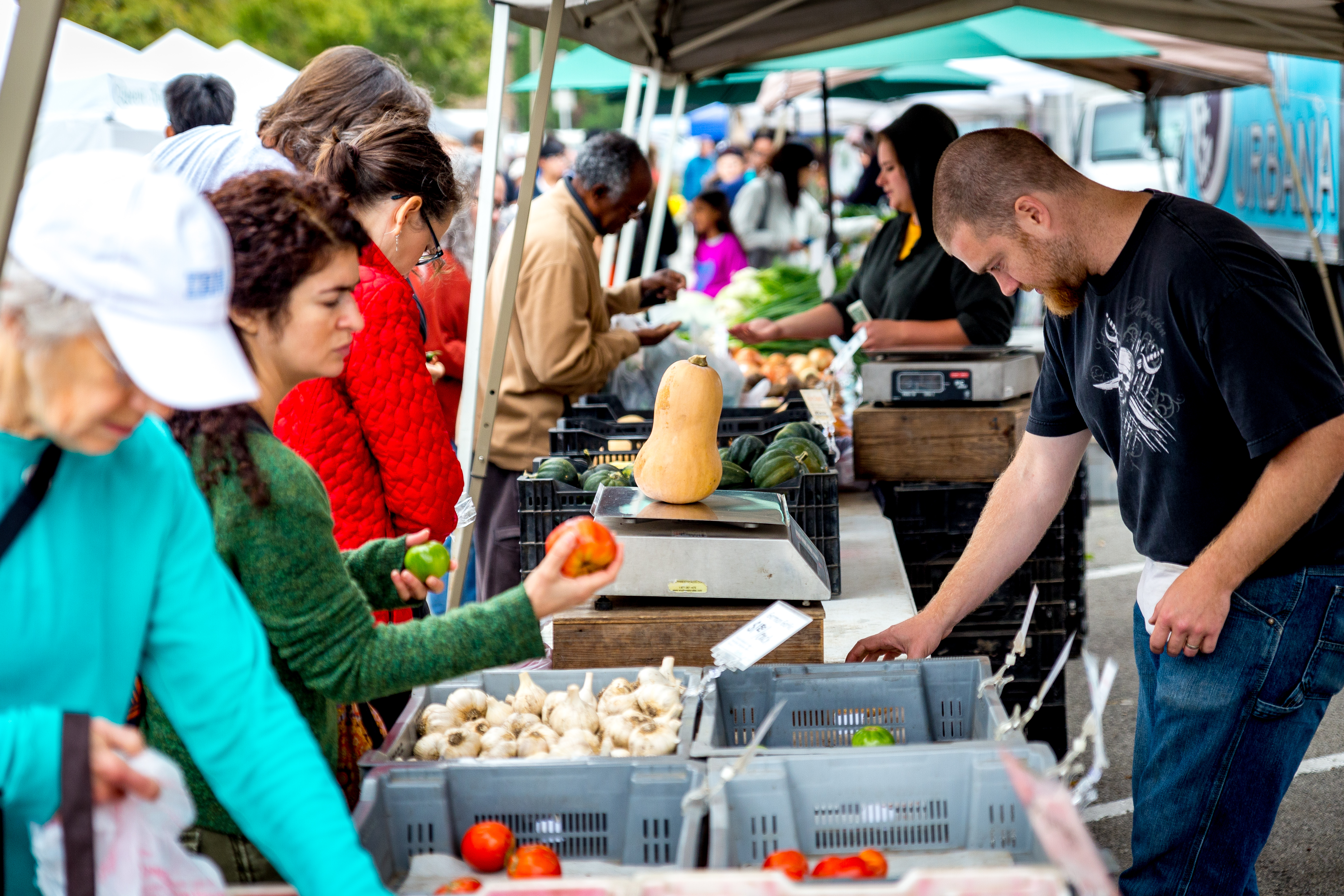 People shopping at a farmers market in the Champaign-Urbana area